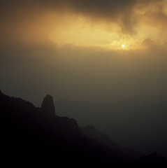 The image of beautiful nature