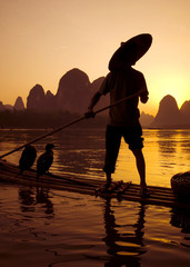 Chinese Man Cormorant Fishing on River