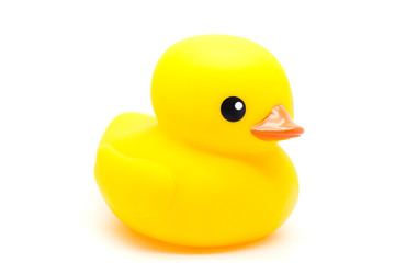 yellow rubber duck