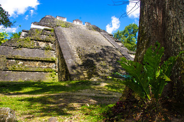 Tikal Ruins in Guatemala