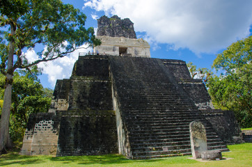 Tikal Ruins in Guatemala
