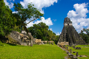 Fototapeta na wymiar Tikal w Gwatemali, Maya Ruinen