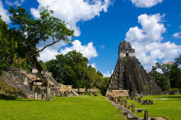 Fototapeta na wymiar Tikal Ruiny w Gwatemali