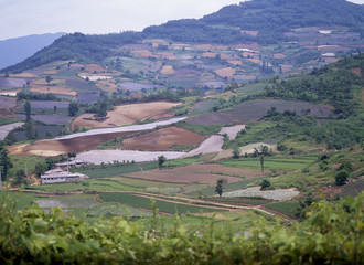 Naklejka premium The image of beautiful nature