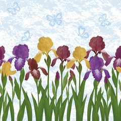 Flowers iris and butterflies, seamless
