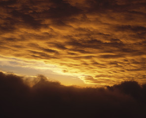 The image of beautiful nature