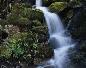 The image of beautiful nature