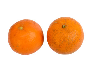 Fresh Kinnow © mrhighsky