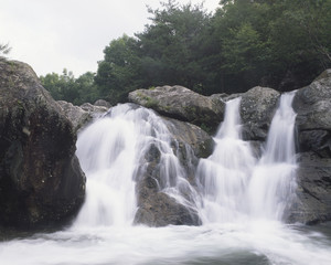 The image of beautiful nature