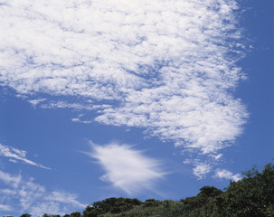 The image of beautiful nature