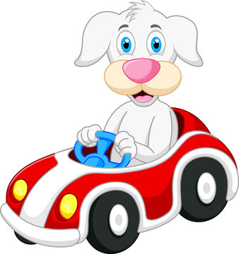 Dog cartoon driving car
