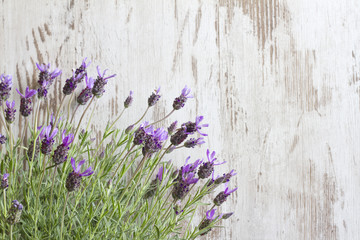 Lavender flowers on vintage wooden boards background