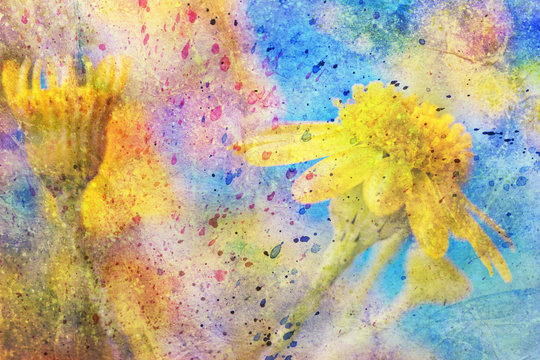 Yellow Flower And Messy Colorful Watercolor Splashes