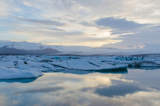 Jökulsárlón Ice Lagoon at sunset