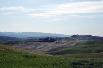 colline toscane