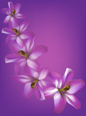 five lilac flowers curl illustration