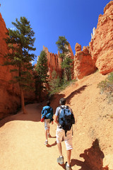randonnée à mossy cave trail à Bryce Canyon