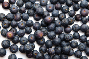 Fresh blueberries