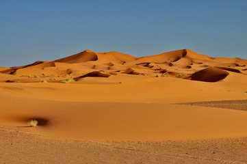 Plakat Pustynia w Maroko Merzouga