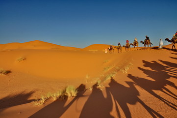 Fototapeta na wymiar Shadow of Camels in Merzouga desert, Morocco