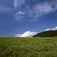 The image of beautiful nature