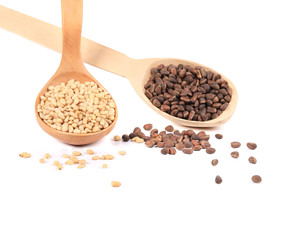 Wooden spoons full with pine nuts.