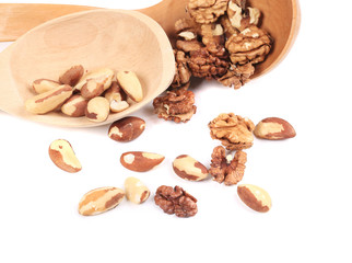 Spoon with walnuts and brazil nuts.