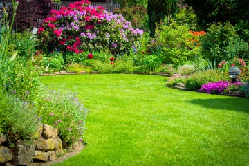 Garten mit Rhododendren
