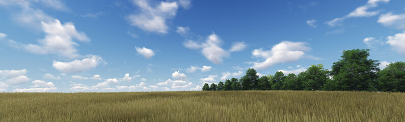 Panorama of Green Grass with cloud and the blue sky. 3d render 