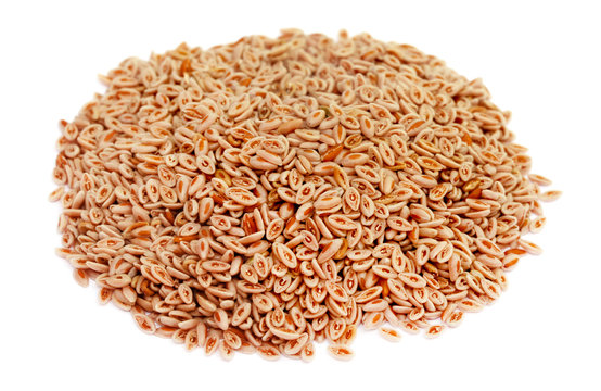 Medicinal Isabgol Or Psyllium Husks