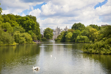 St James park, nature island in the middle of busy London