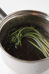 大自然の贈り物　わらび