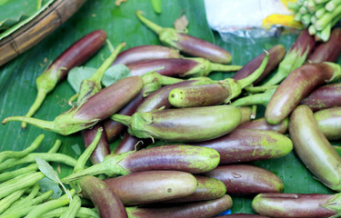Eggplant purple in the market