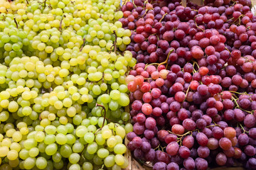Uva Bianca e Nera,Barcellona, Spagna