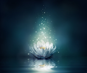 waterlily on water - fairytale background