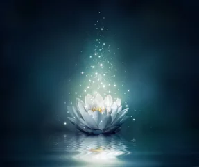 Door stickers Lotusflower waterlily on water - fairytale background
