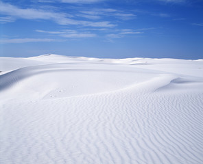 The image of beautiful nature