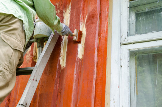 Painter Man On Ladder Paint Wooden House Wall