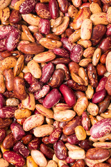 beans as background. macro