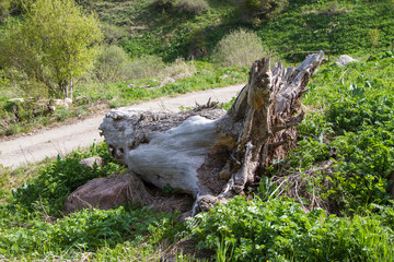 mountain road