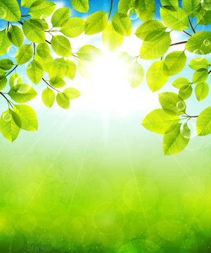 Summer day