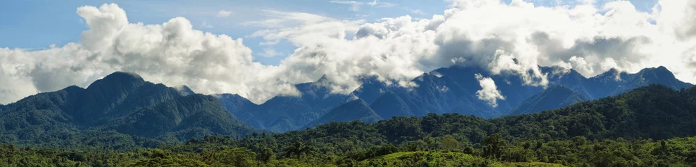 Fototapeten Landscape of cloudy ecuadorian cloudforest © estivillml
