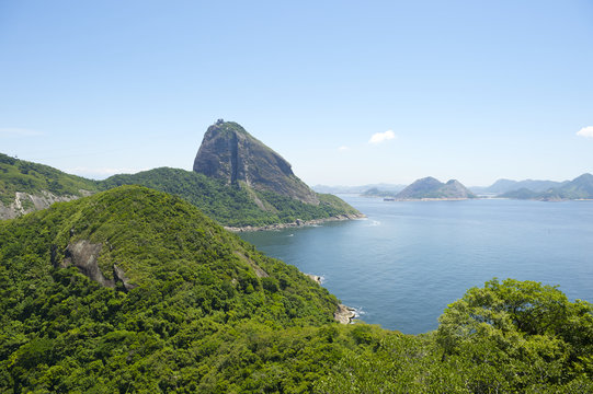 Sugarloaf Mountain Greenery and Guanabara Bay Rio