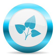 leaf blue glossy icon