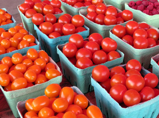 Bioxes of Cherry Tomatoes