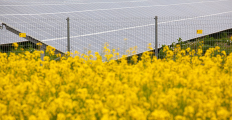 solar energy panels