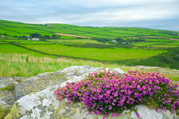 cornwall england