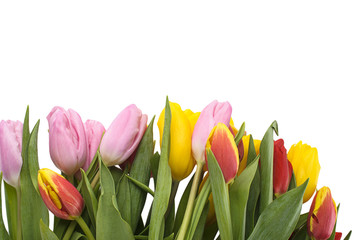 Colorful bouquet of fresh spring tulip flowers isolated on white