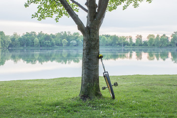 EinradBaumSee © fotoman1962