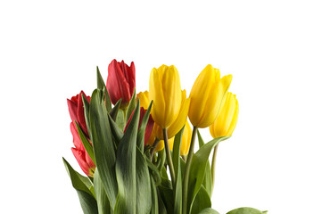 Colorful bouquet of fresh spring tulip flowers isolated on white